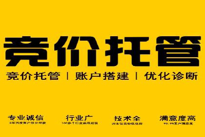 SEM运营公司案例：打造爆款广告策略